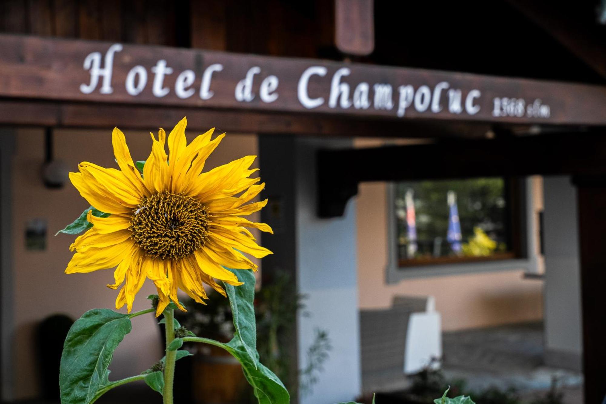 Hotel De Champoluc Extérieur photo